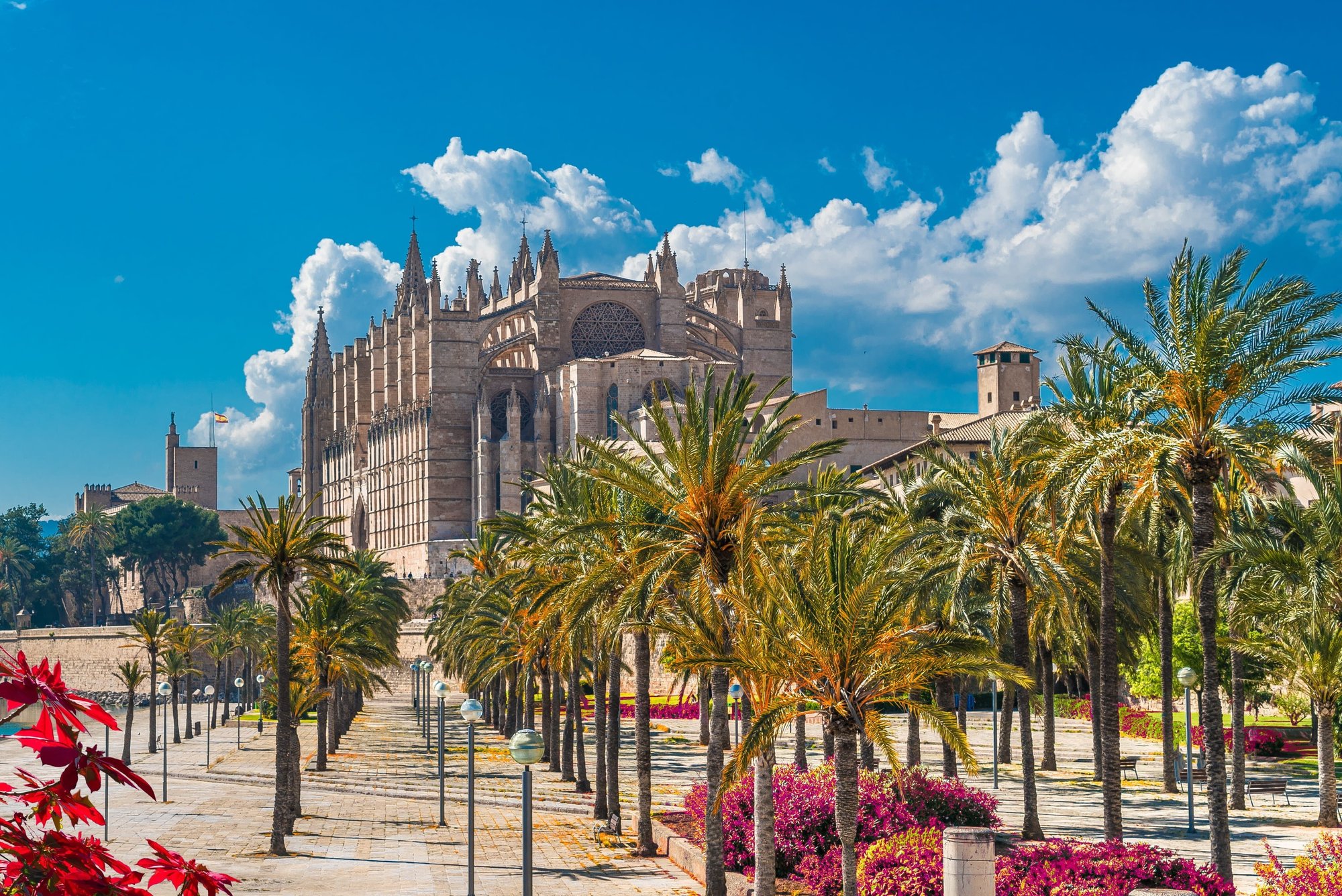 palma de mallorca