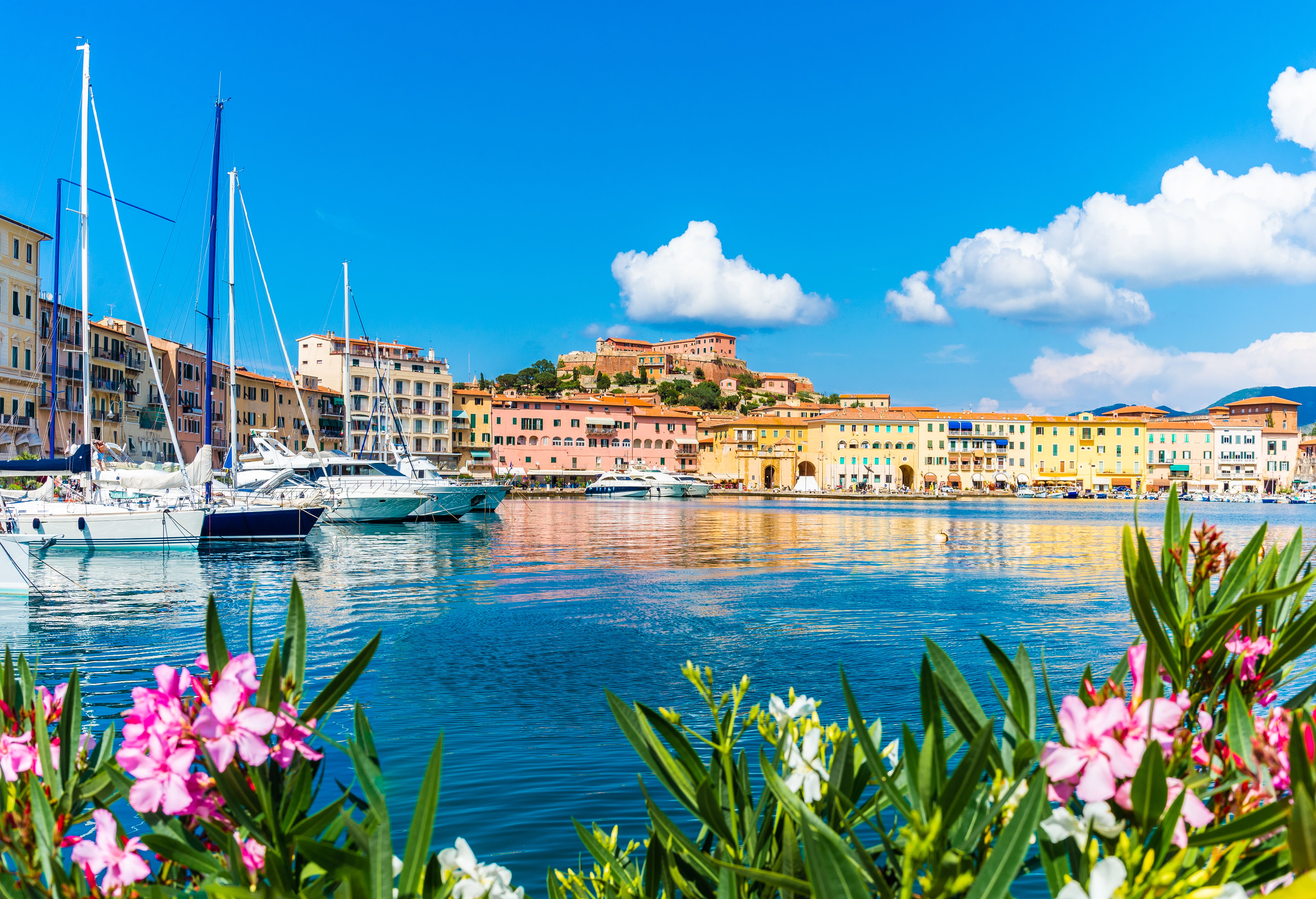 shutterstock_1245218728-min