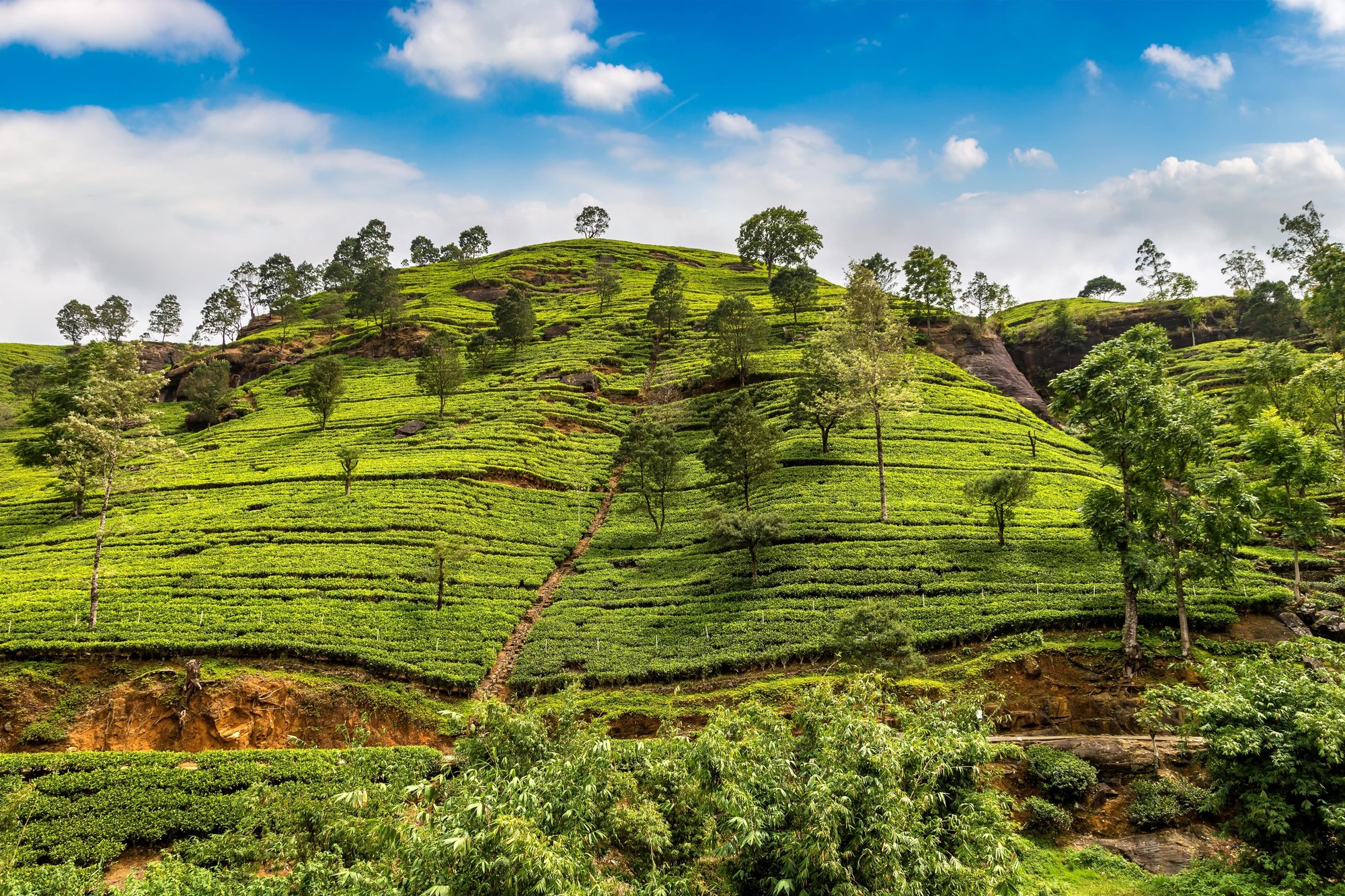 Sri Lanka