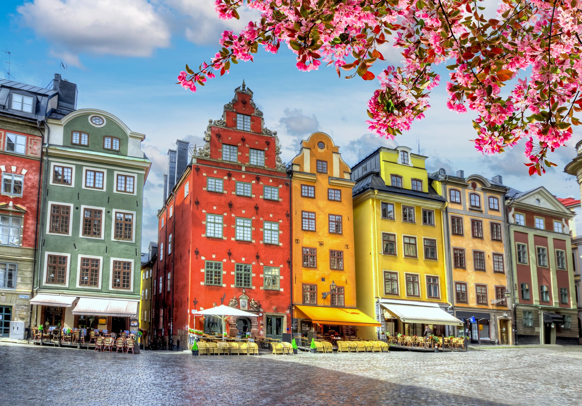 shutterstock_2240306013-min