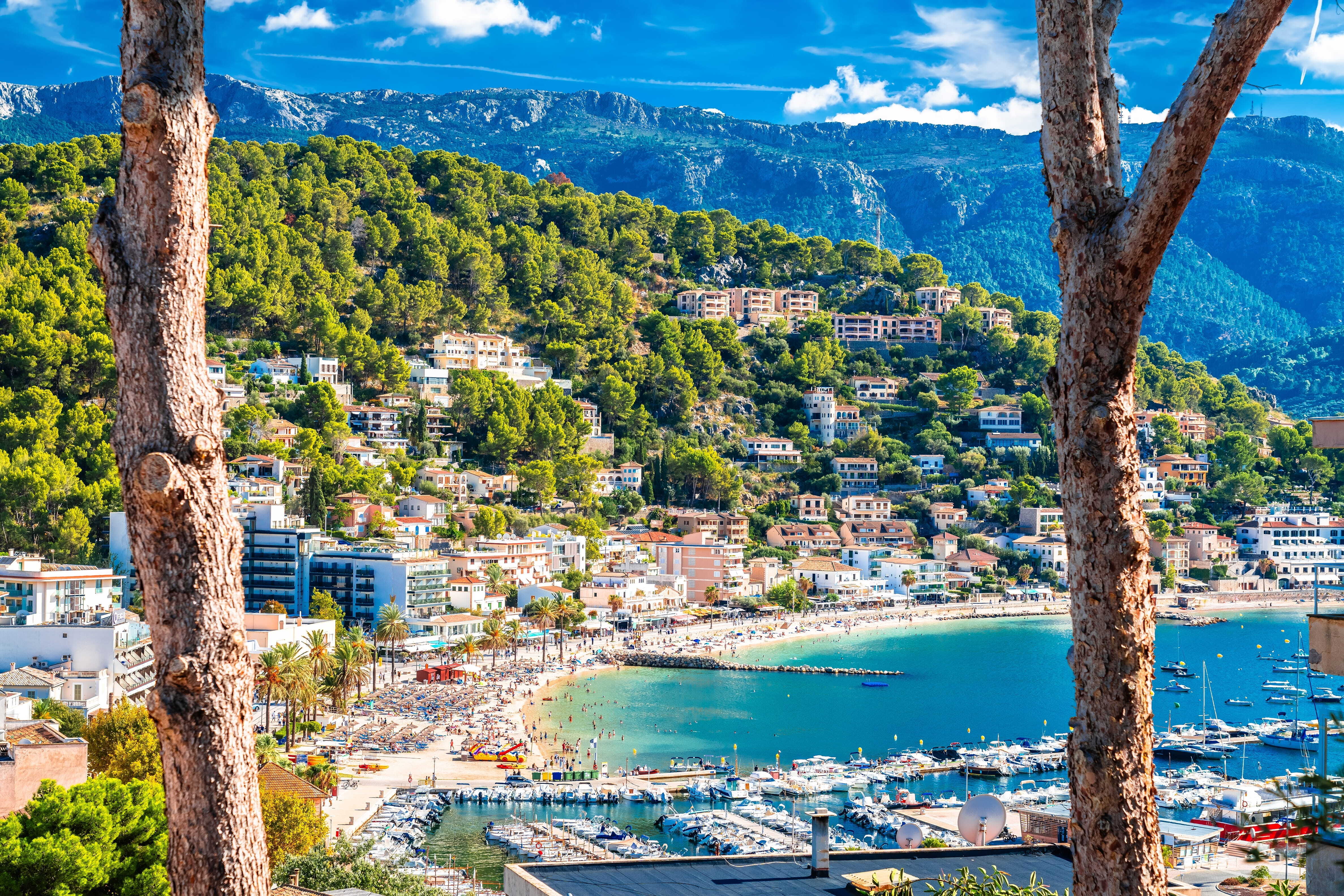 Soller
