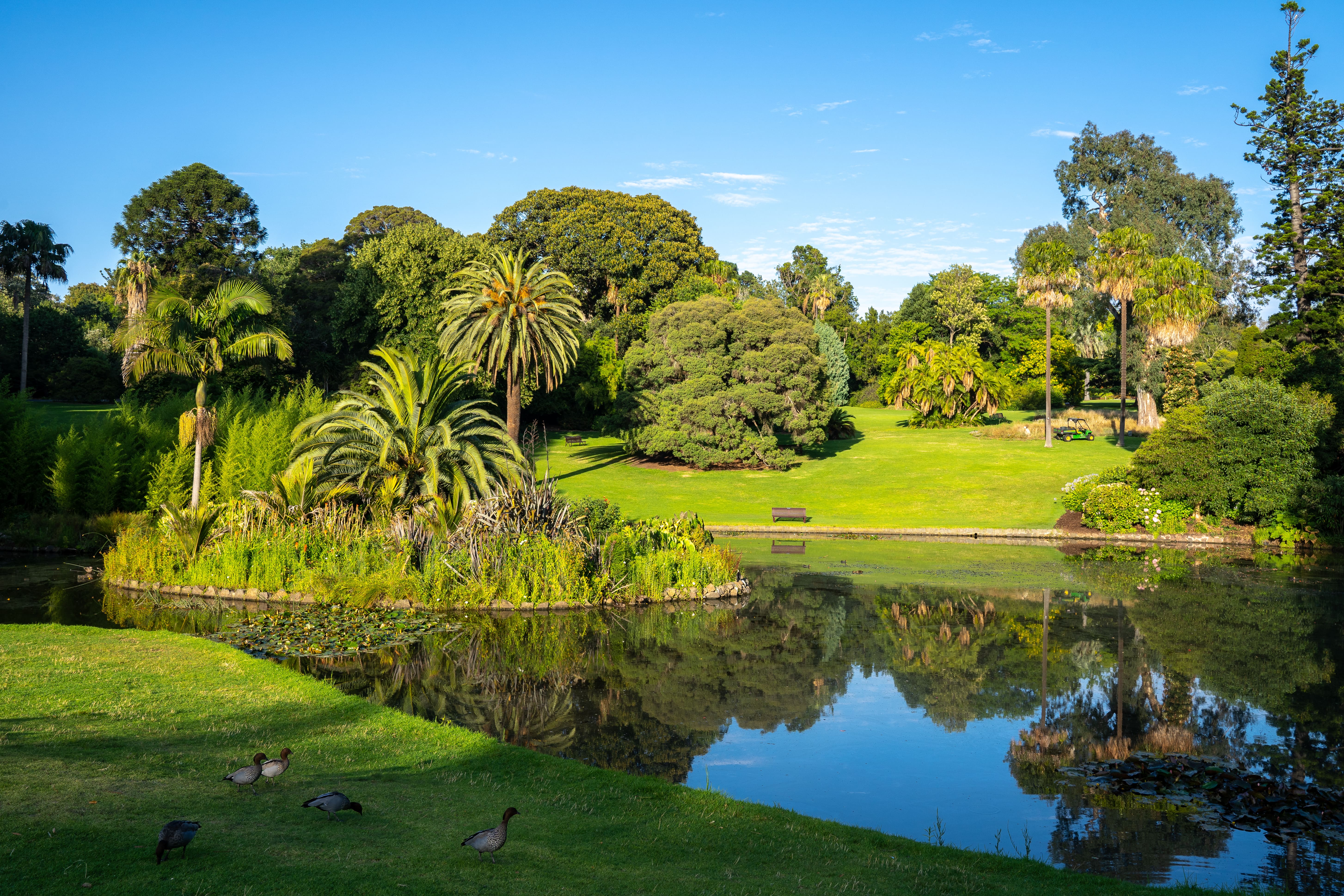Royal Botanic Gardens 