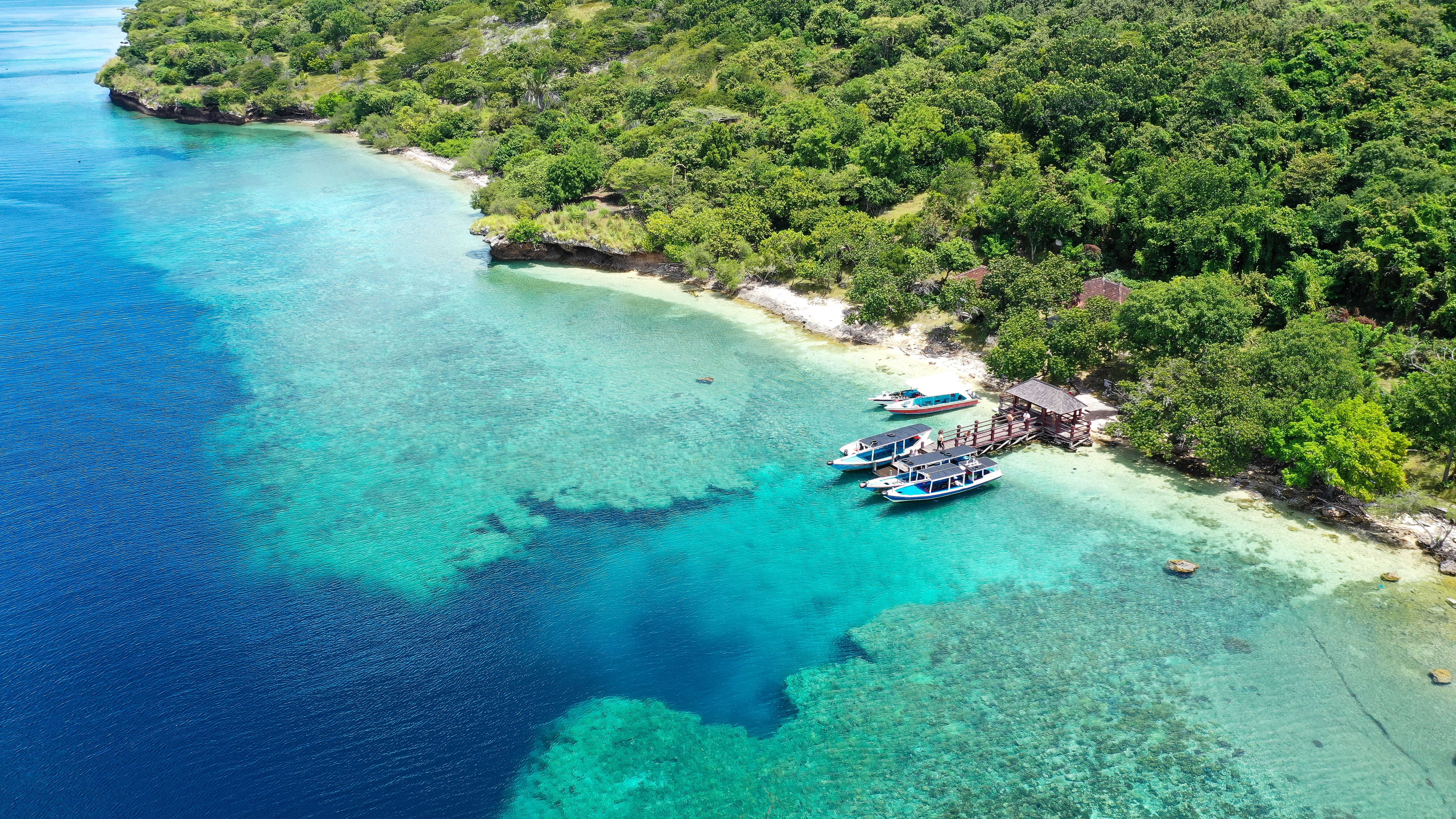 Insula Menjangan 
