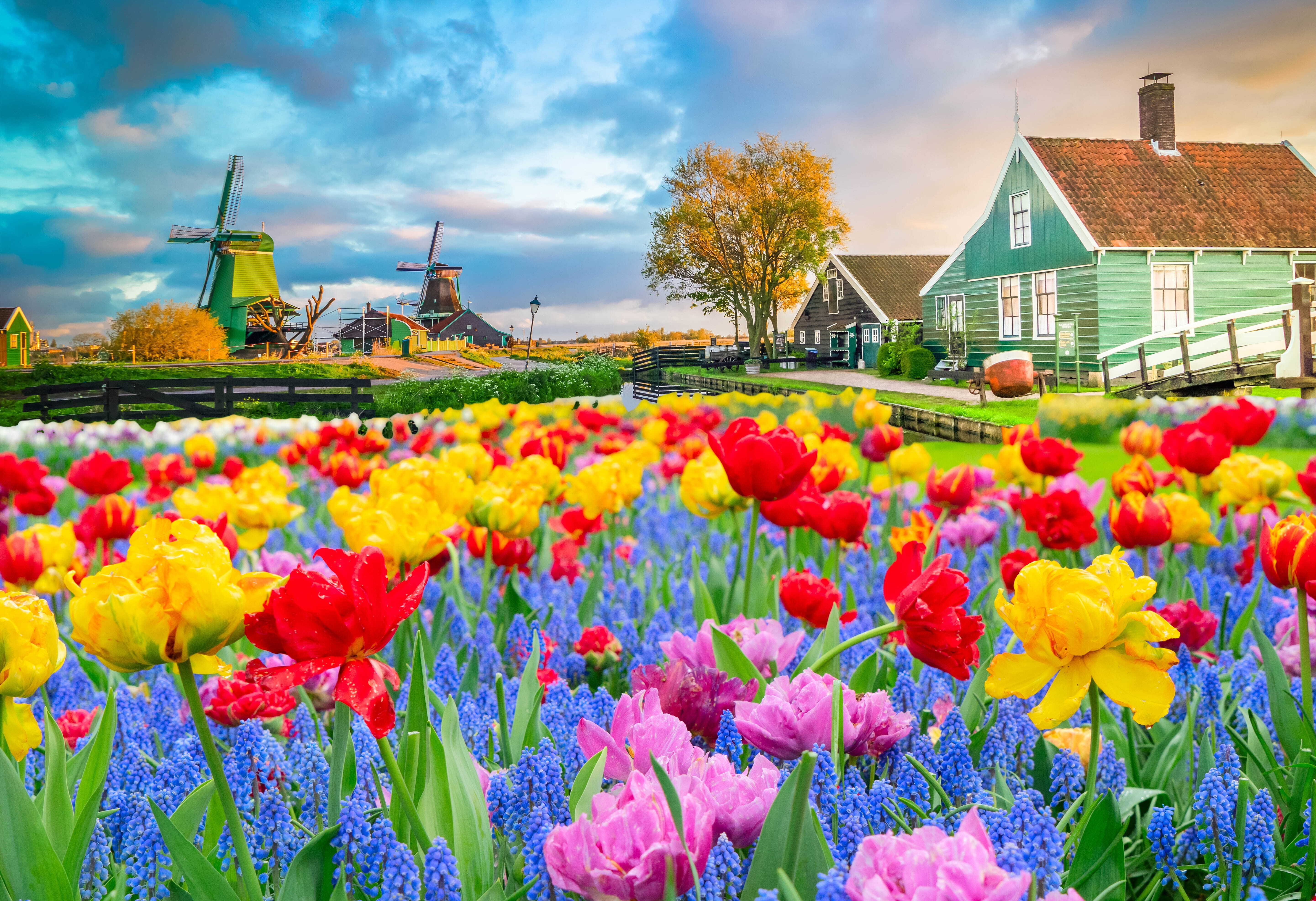 Zaanse Schans 