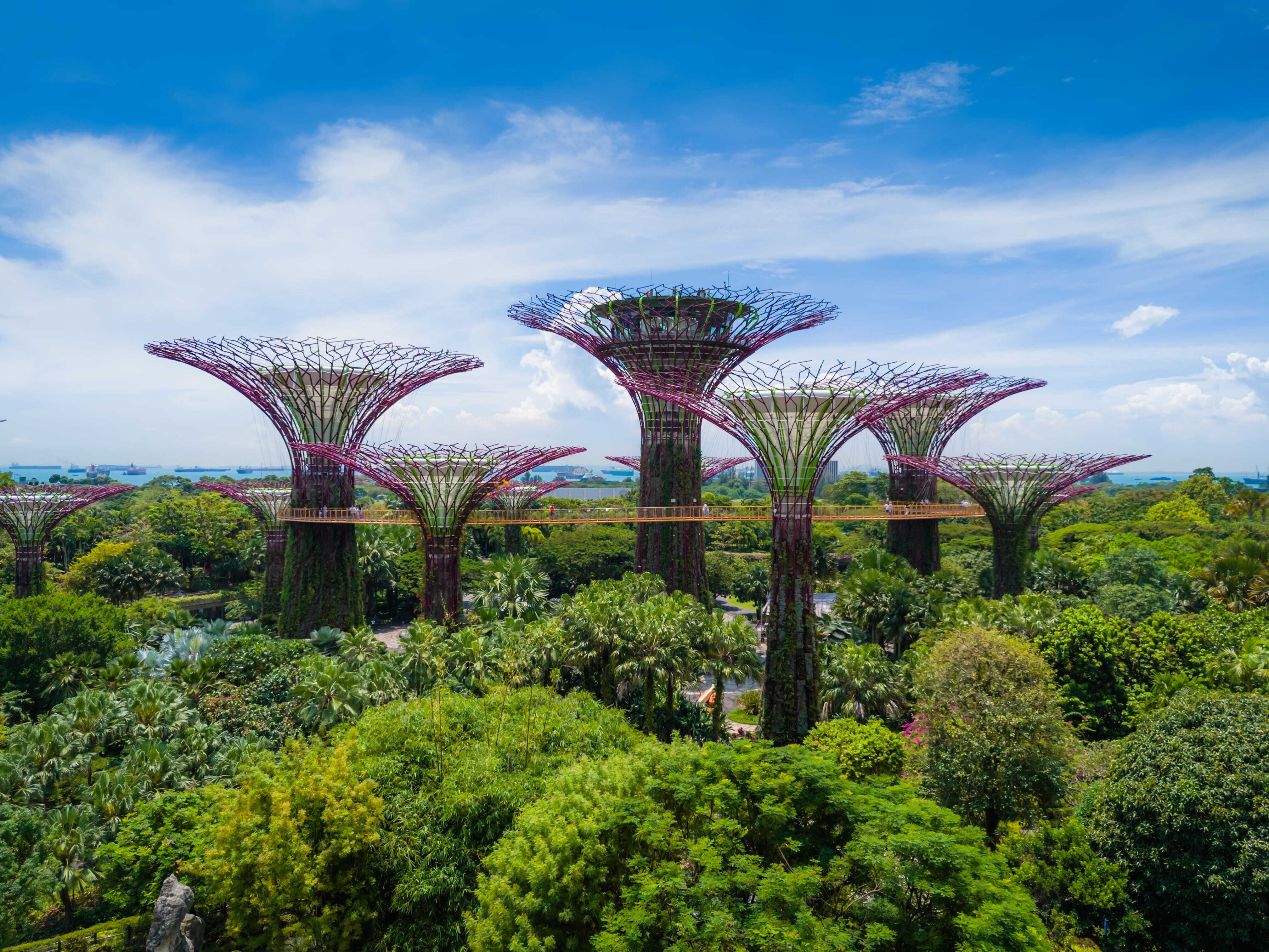 Gardens by the Bay
