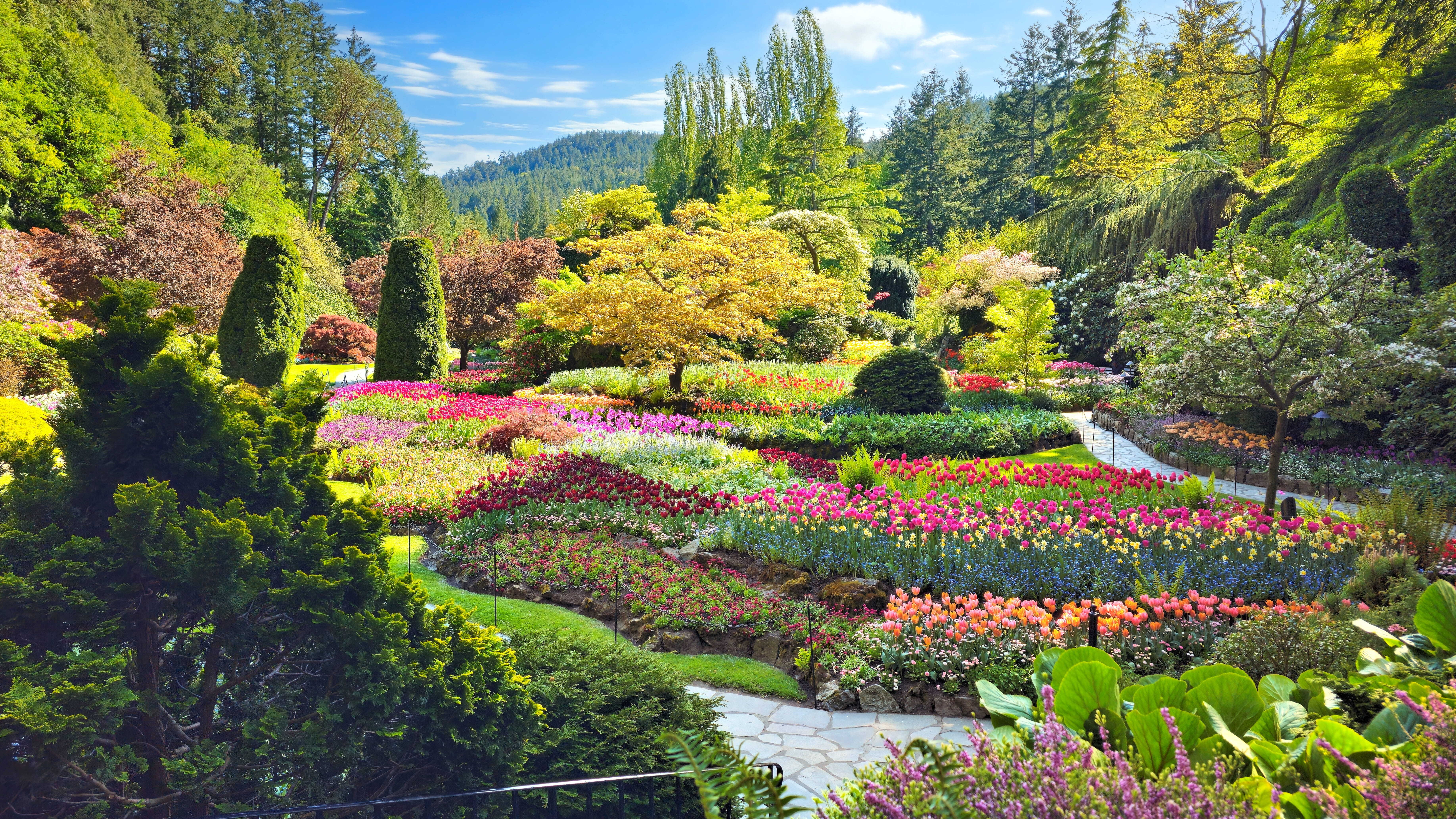 Butchart Gardens