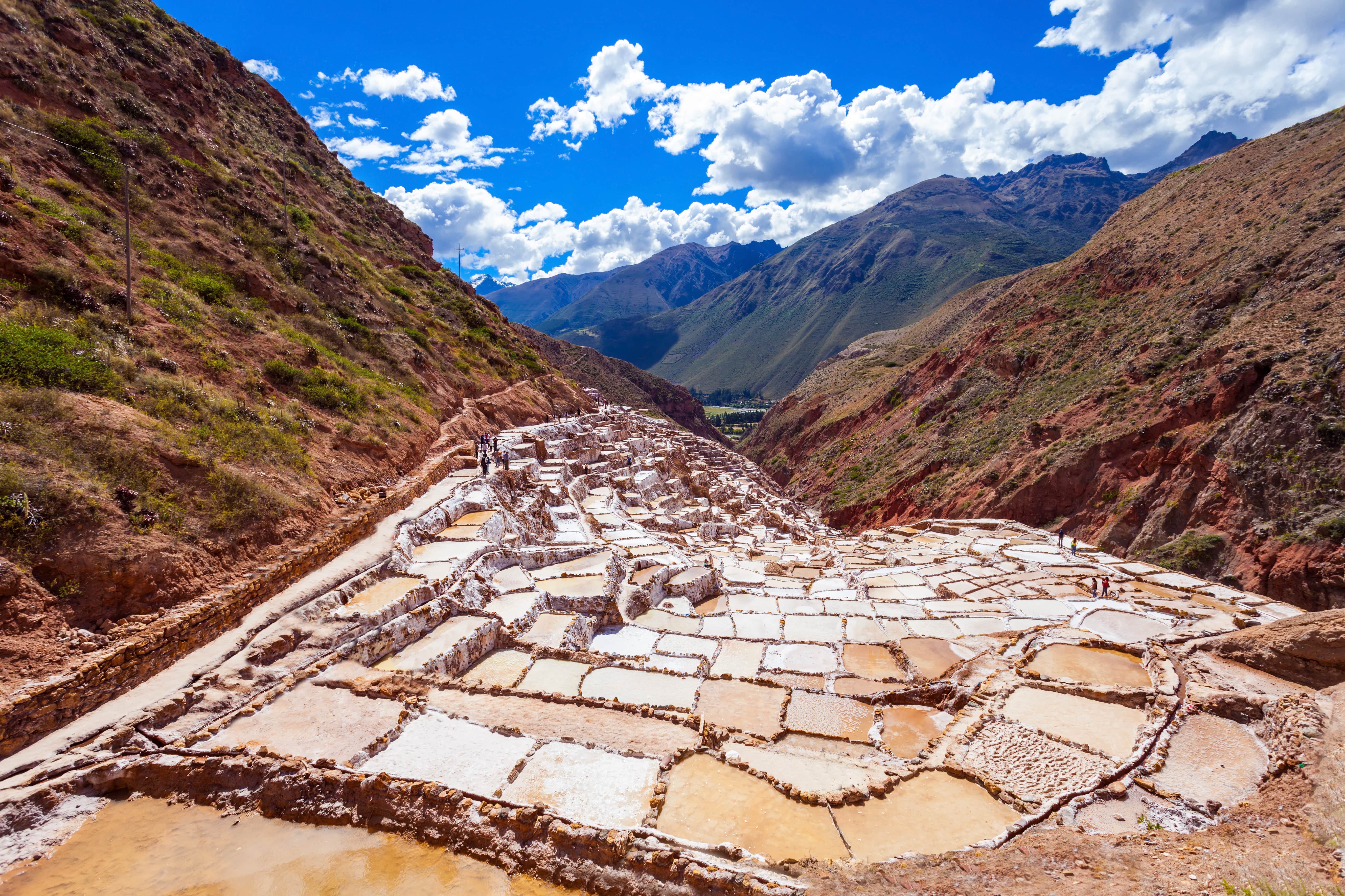 Maras